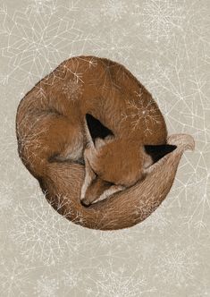 a drawing of a cat curled up in a ball on top of snow flakes