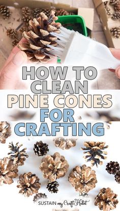 how to clean pine cones for crafting