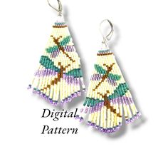 a pair of beaded earrings with fringes and beads