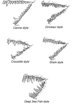 the different types of fish's teeth