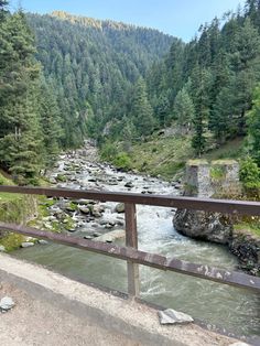 a river running through a forest filled with lots of green trees next to a bridge