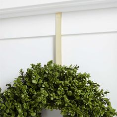 a potted plant hanging on the side of a white wall next to a door