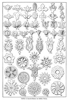 an image of some flowers and plants in black ink on white paper, with the words