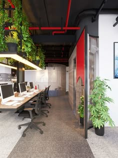 an office with plants hanging from the ceiling and computer desks in front of them