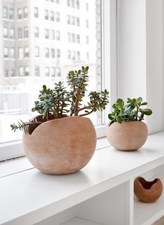 two planters sitting on top of a window sill