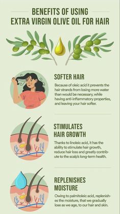 Here are the amazing benefits of using extra virgin olive oil for hair growth this will work super duper fast check it out on my behalf and thank me letter Olive Oil On Hair Benefits, Walnut Oil Benefits Hair, Safflower Oil Benefits Hair, Benefits Of Olive Oil For Hair, Grapeseed Oil Benefits Hair, Olive Oil Hair Benefits, Olive Oil On Hair, Olive Oil In Hair, Olive Oil Skin Benefits