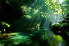 the sun shines brightly through the trees and over the water in this beautiful forest scene