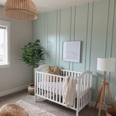 a baby's room with a white crib, rug and potted plant