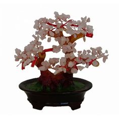 a bonsai tree with white and red flowers