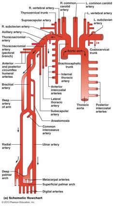 a diagram of the structure of an electrical device, with all parts labeled in red