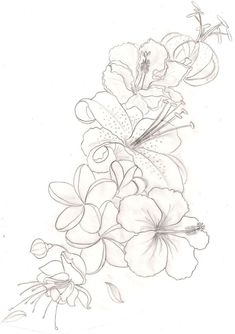 a pencil drawing of flowers on a white background