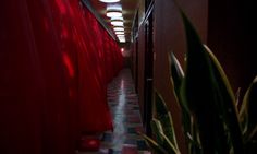 a long hallway with red curtains on the walls and plants in the floor next to it