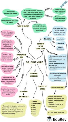 a flow diagram with different types of words