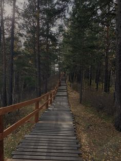 a wooden walkway in the middle of a forest