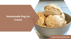 homemade dog ice cream in a bowl with the words homemade dog ice cream above it