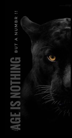 an image of a black panther with yellow eyes