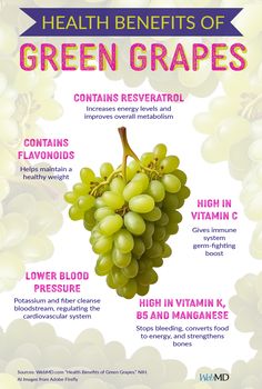 Grapes have been a staple of people's diets since ancient times, and they're particularly famous for their use in wine. They make an excellent snack by themselves, but they’re also great as a sweet side dish with cheese boards or savory breakfasts. Read more on https://wb.md/4bm3nZO. Green Grapes Benefits, Muscadine Grapes Benefits, Benefits Of Grape Juice, Health Benefits Of Grapes, Grape Health Benefits, Benefits Of Grapeseed Oil, Benefits Of Grapes, Fruits Benefits, Grapes Benefits