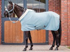 a brown horse wearing a blue blanket standing in front of a brick building with doors