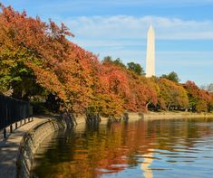 the washington monument is in the background as autumn leaves reflect on the water's surface