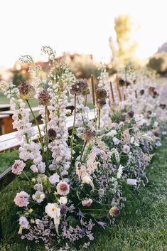 the flowers are lined up along the bench in the grass near each other on the ground