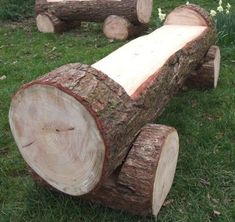 two logs that are sitting in the grass