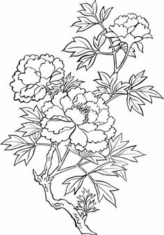 a black and white drawing of flowers