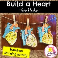 the hand - on learning activity for kids to learn how to build a heart