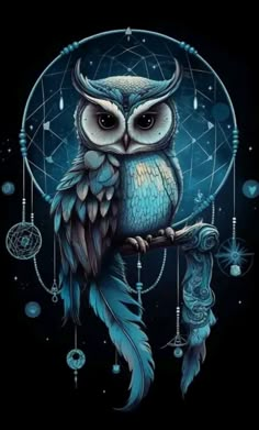 an owl sitting on top of a tree branch in front of a dream catcher with feathers