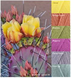 several colors of yarn and cactus flowers