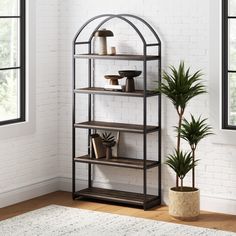 a shelf with pots and plants in it next to a potted houseplant