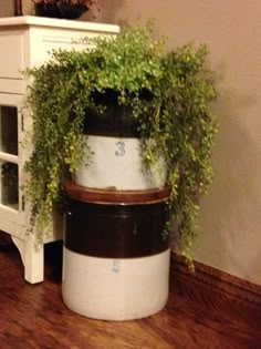 a potted plant sitting on top of a wooden floor next to a white cabinet