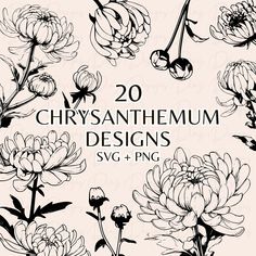 20 chrysanthemum designs in black and white