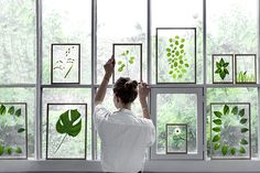 a woman is looking out the window at some green plants and leaves on display in front of her