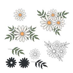 four different types of flowers with leaves