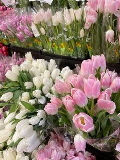 many pink and white tulips are on display