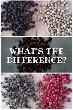 what's the differences between blueberries and red berries? - click to see more