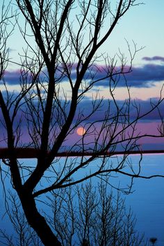 the sun is setting behind some bare tree branches in front of a body of water