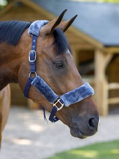 a brown horse standing on top of a lush green field next to a wooden structure