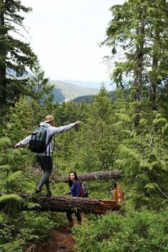 two people standing on a fallen tree in the woods with their arms spread wide open