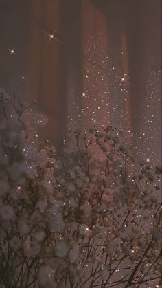 some white flowers and buildings in the background with stars on it's lights above them