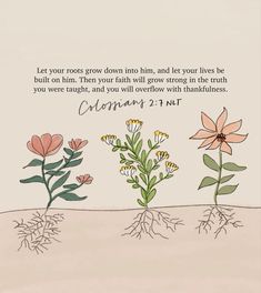 flowers with the words, let your roots grow into him and let your lives be built on him