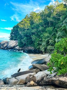 Remote beach on the Seychelles Unique Nature, Lush Greenery, Beach Travel, Nature Reserve