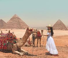 a woman in a white dress and straw hat standing next to a camel with pyramids in the background