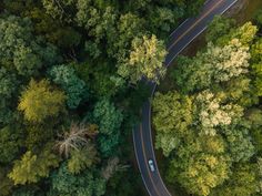 an aerial view of a road in the middle of a forest with lots of trees