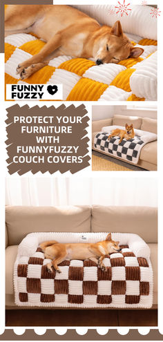 a dog laying on top of a couch next to a pillow and blanket with the words protect your furniture from funny fuzzy couch covers