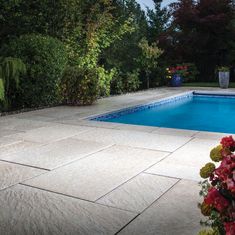 a swimming pool surrounded by trees and flowers