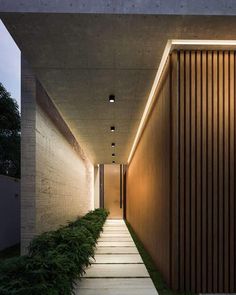 the hallway is lined with plants and concrete steps that lead up to an open area