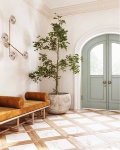 a living room with two couches and a potted tree in the corner on the wall