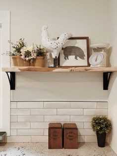 a shelf with some flowers on top of it next to a potted plant and clock