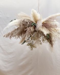 a dried flower hanging from a string